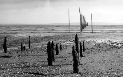 The Woodstown “Scotch” fishing weir
