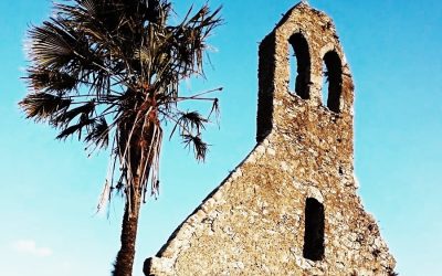 Faithlegg Graveyard’s Palm Tree -symbol of love