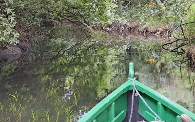 River Blackwater of South Kilkenny